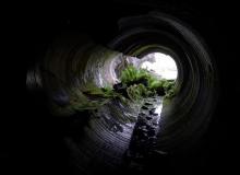 binocular tunnels